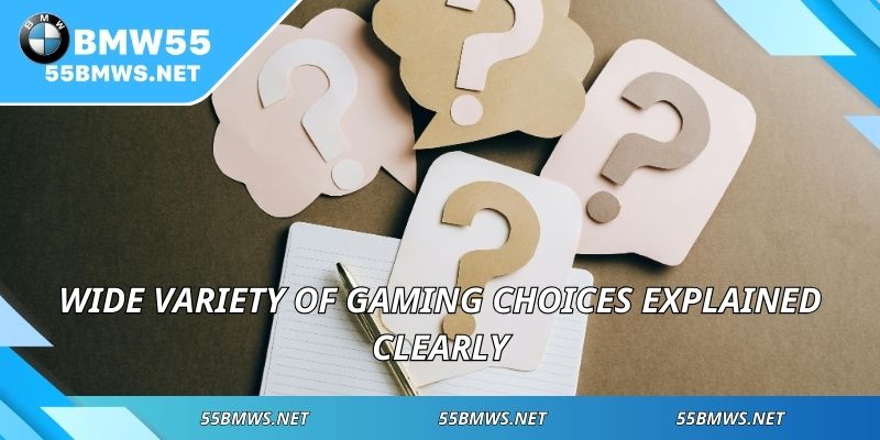 Wide variety of gaming choices explained clearly