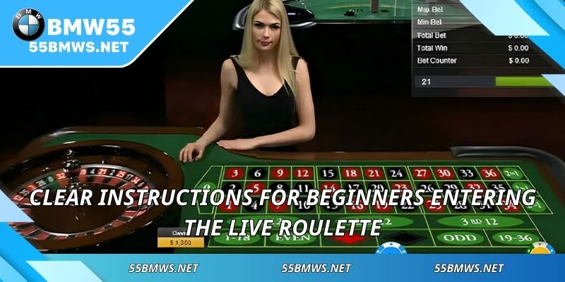 Clear instructions for beginners entering the Live Roulette