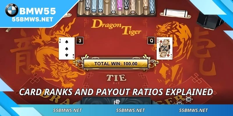 Card ranks and payout ratios explained