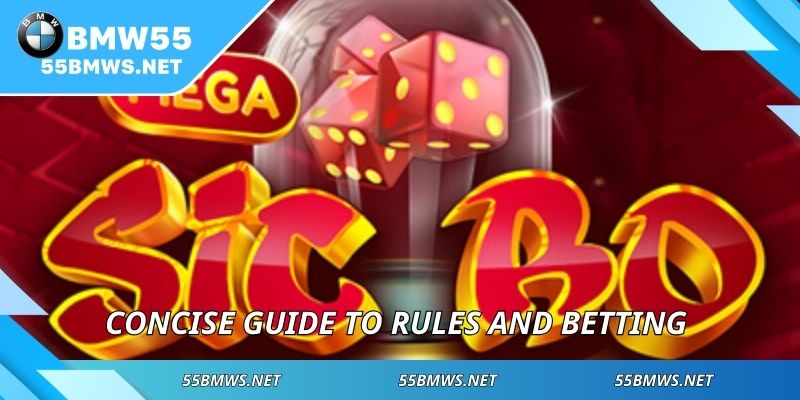Concise guide to rules and betting