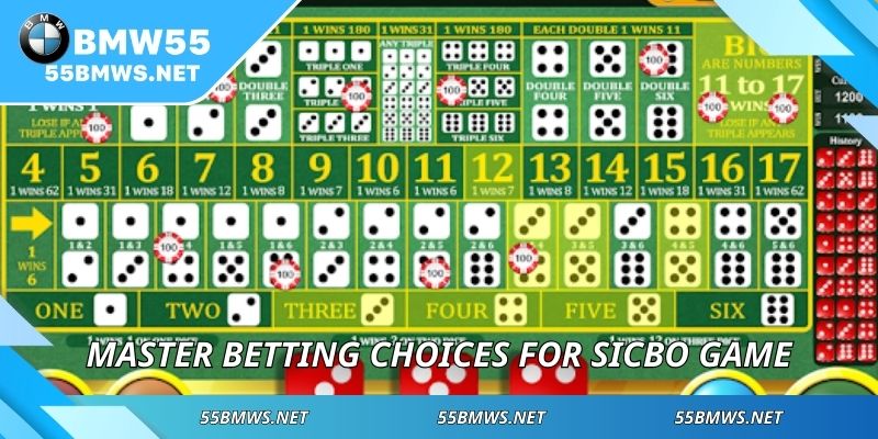 Master betting choices for sicbo game