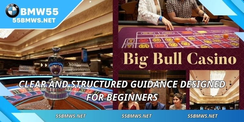 Clear and structured guidance designed for beginners