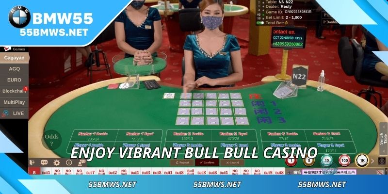 Enjoy vibrant bull bull casino