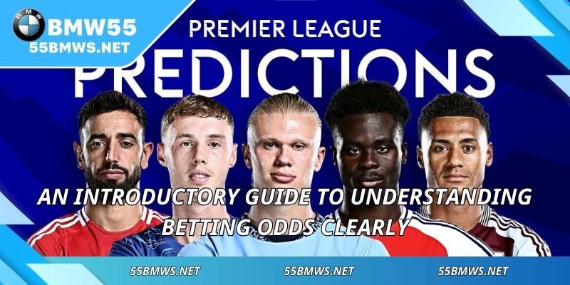 An introductory guide to understanding betting odds clearly