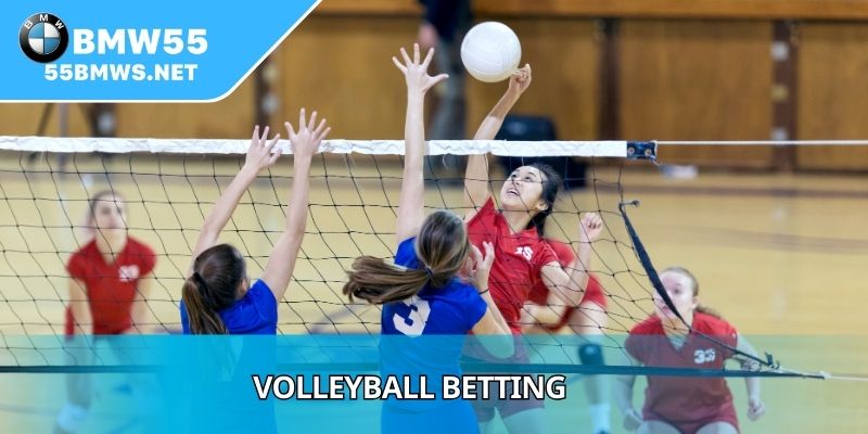 Volleyball Betting
