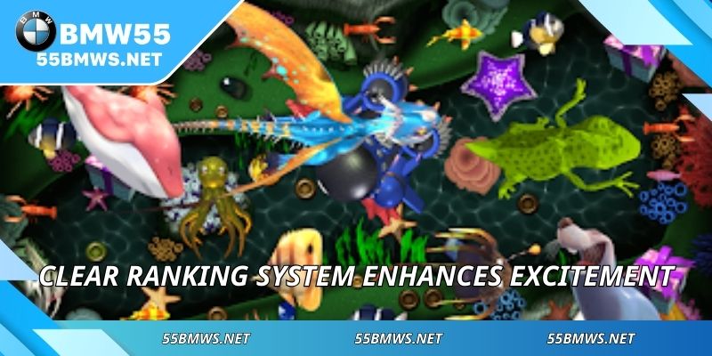 Clear ranking system enhances excitement