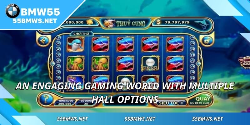 An engaging gaming world with multiple hall options