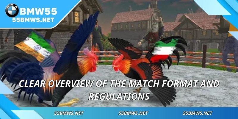 Clear overview of the match format and regulations