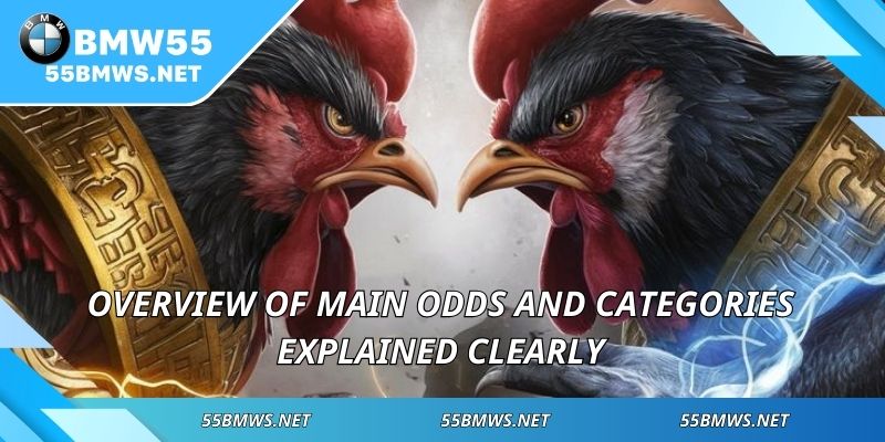 Overview of main odds and categories explained clearly