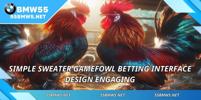 Simple Sweater Gamefowl betting interface design engaging