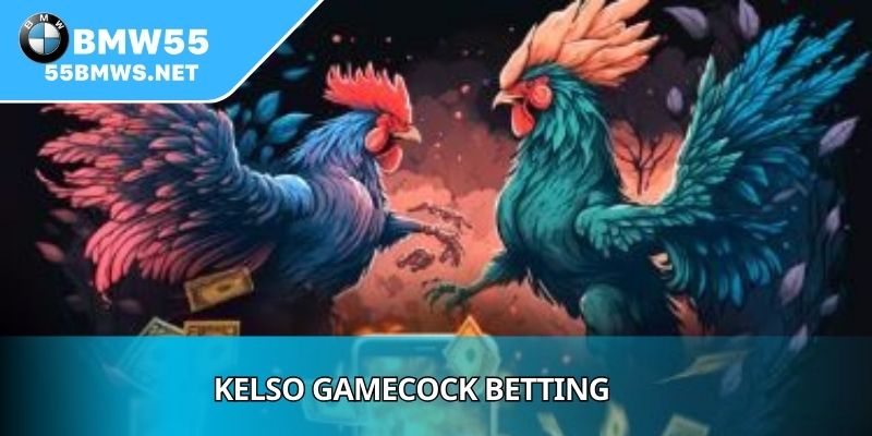 Kelso Gamecock Betting