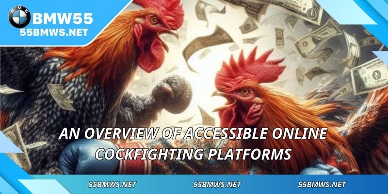 An overview of accessible online cockfighting platforms