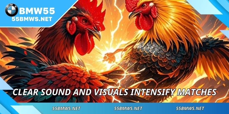 Clear sound and visuals intensify matches