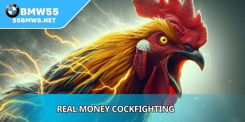 Real Money Cockfighting