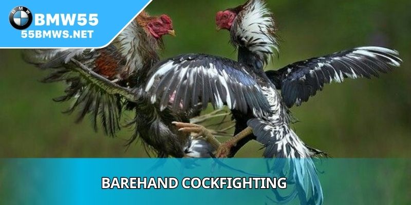 Barehand Cockfighting