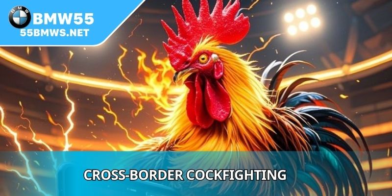 Cross-border Cockfighting