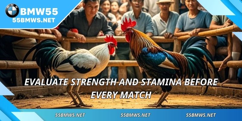 Evaluate strength and stamina before every match