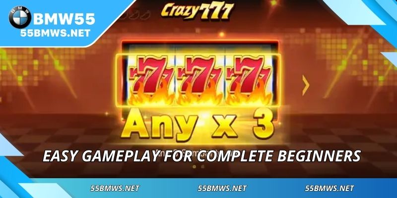 Easy gameplay for complete beginners