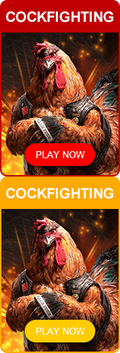 cockfighting