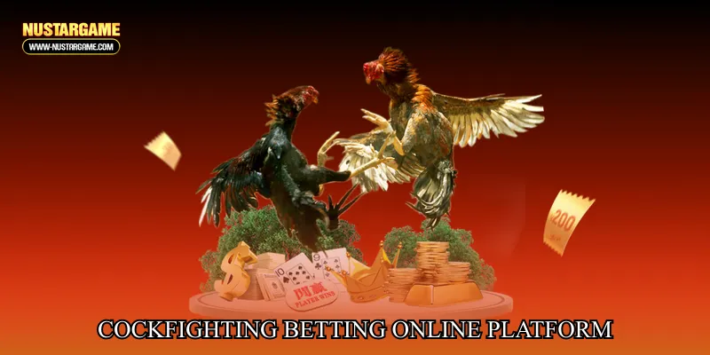 Cockfighting betting online platform